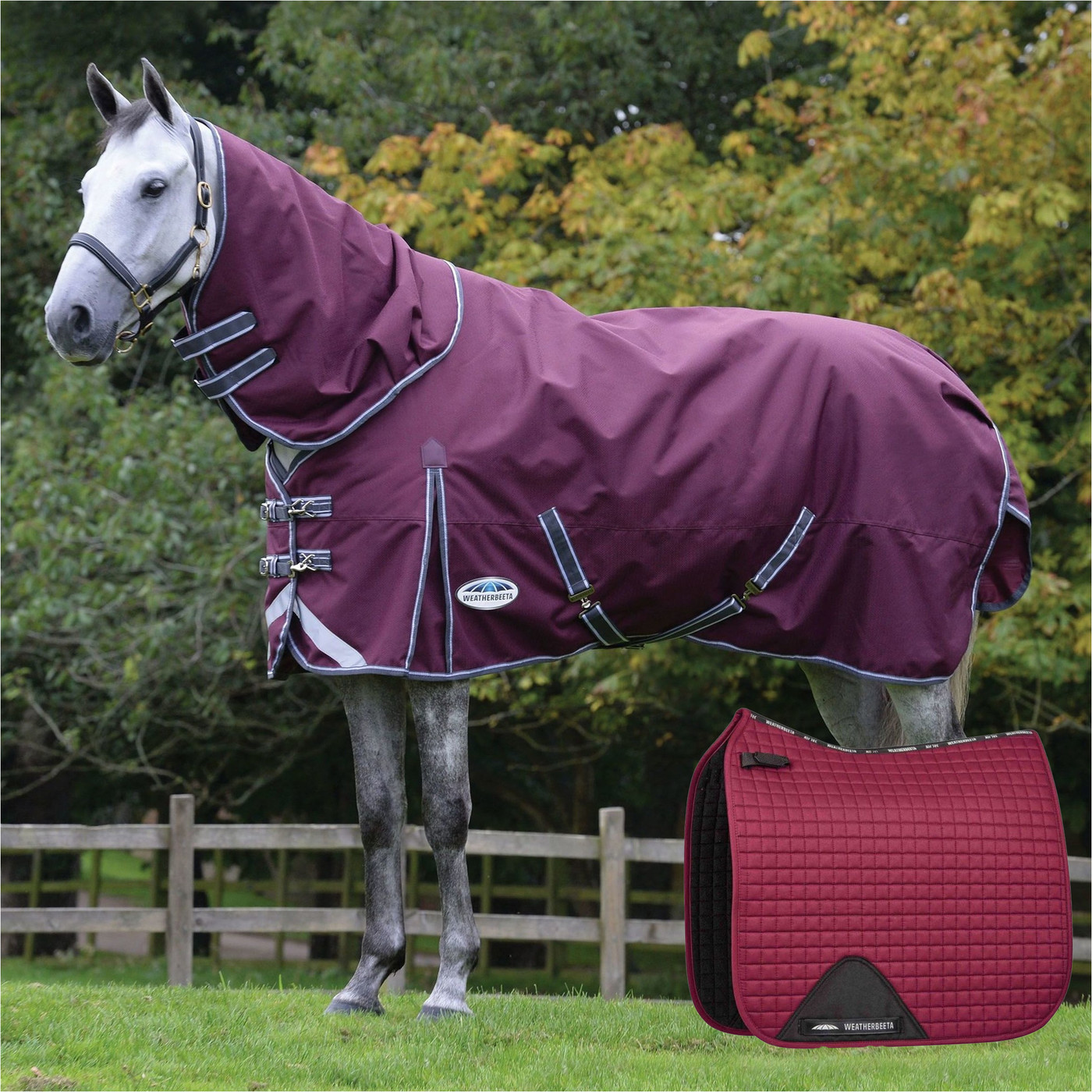 Weatherbeeta Stretch Neck Rug - Noir